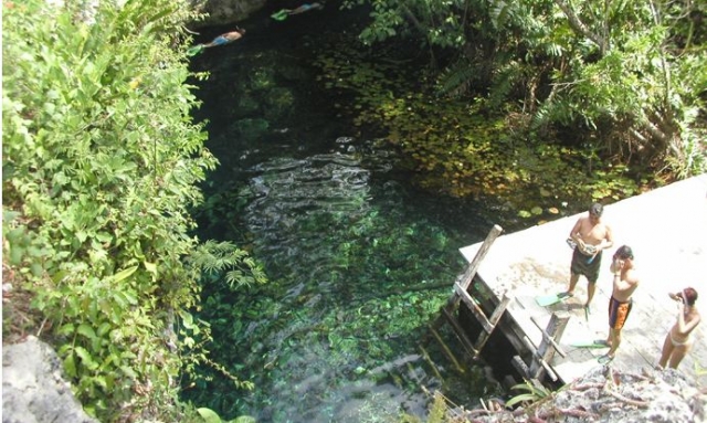  Schnorcheln in einer Cenote 